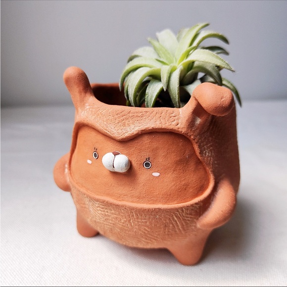 Cute handmade terracotta 🐰 planter with drainage hole. Cactus and succulent pot - Picture 8 of 15
